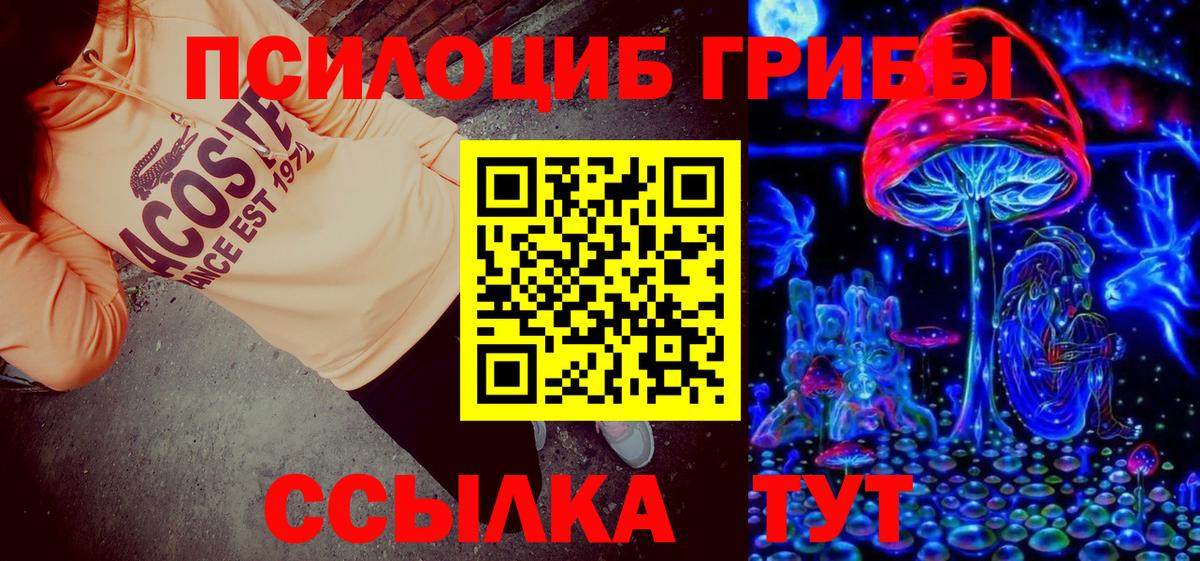 Псилоцибиновые грибы Psilocybe Калуга