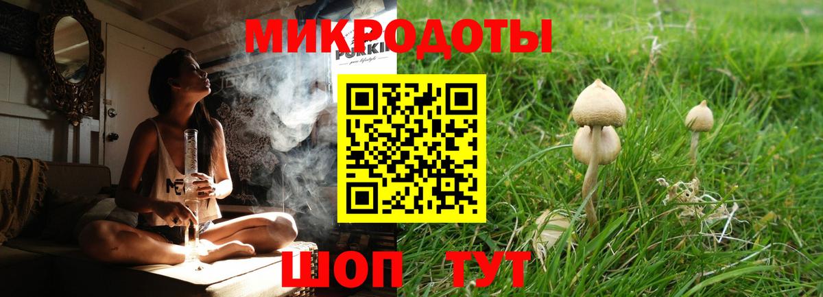 купить наркоту  Псилоцибиновые грибы Psilocybe  Вход с VPN  Калуга 